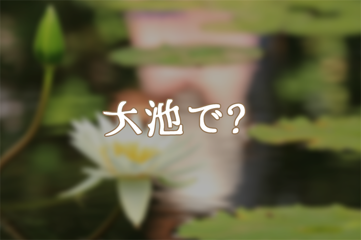大池で