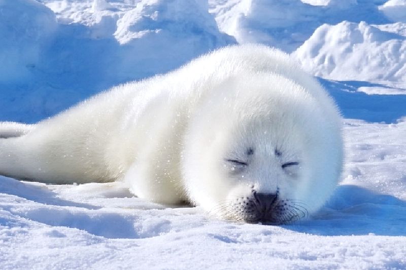眠る