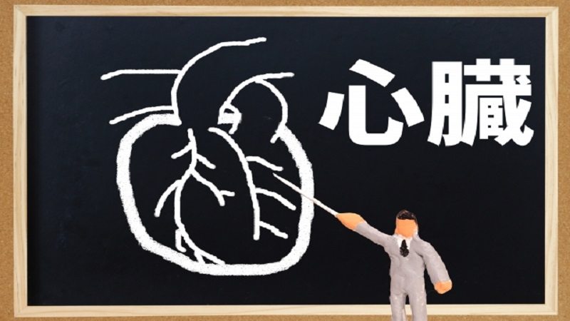 心臓